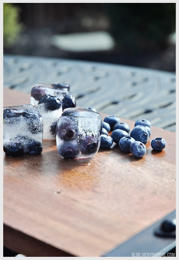 Fresh Fruit Ice Cubes | Vicky Barone