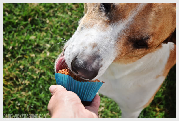 Dog Birthday "Pup" Cakes | Vicky Barone