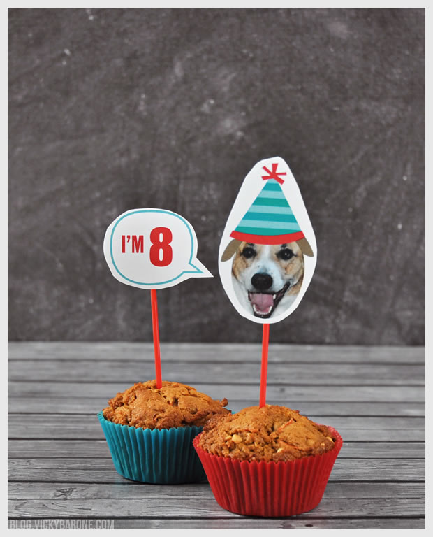 Dog Birthday "Pup" Cakes | Vicky Barone | Places for Faces