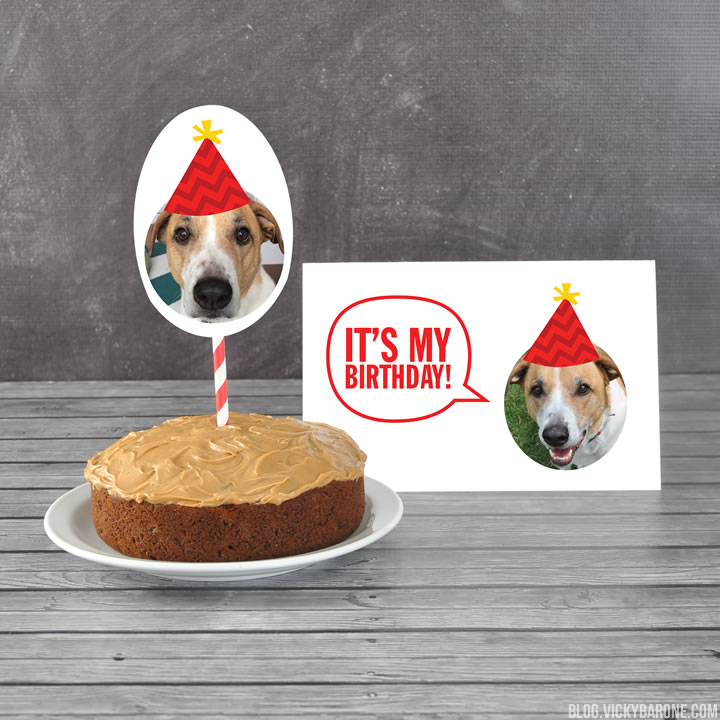 Doggie Birthday Cake | Vicky Barone