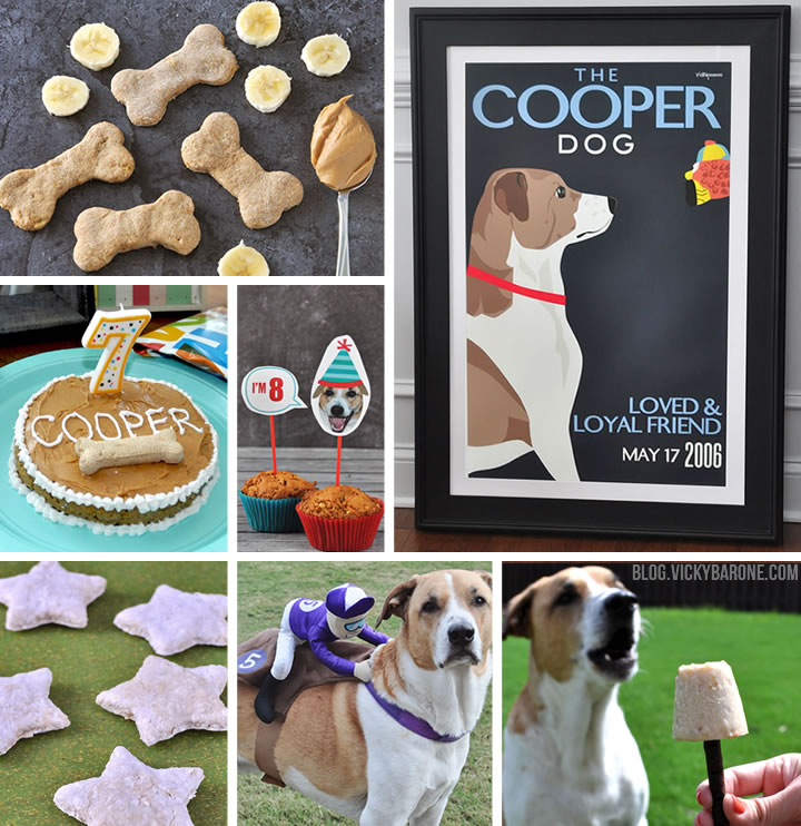 Happy National Dog Day | Dog Ideas and Treat Recipes | Vicky Barone