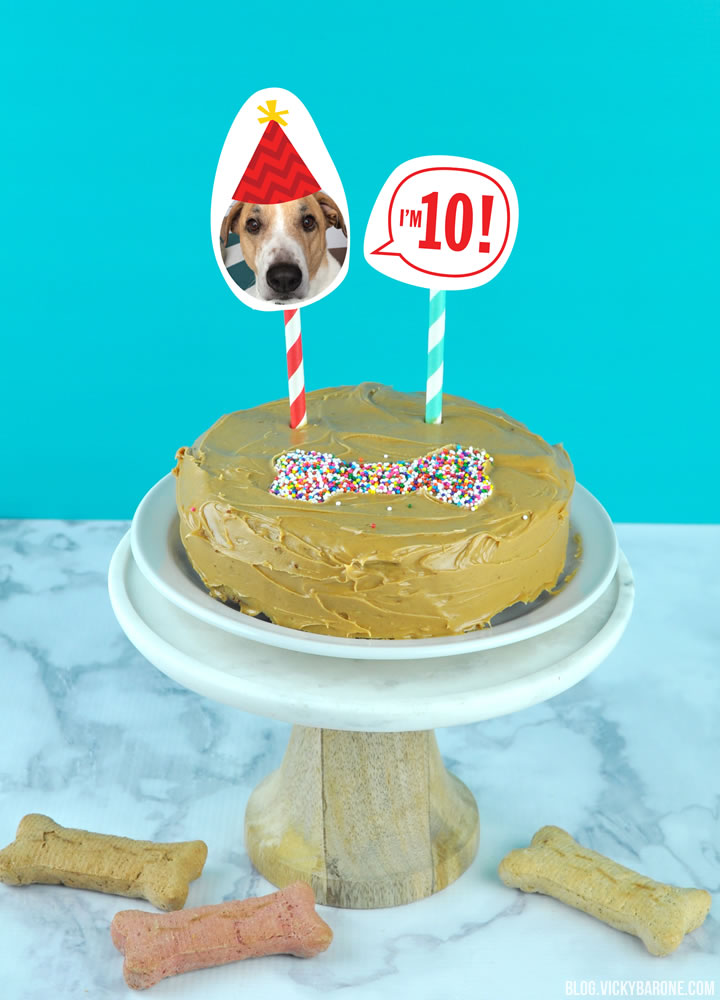 Happy 10th Birthday, Cooper | Doggie Cake Recipe | Vicky Barone